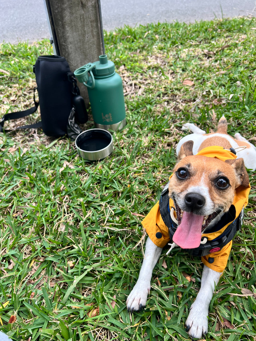 All-in-One Dog Walking Kit | Bottle + Sleeve + Bag Dispenser