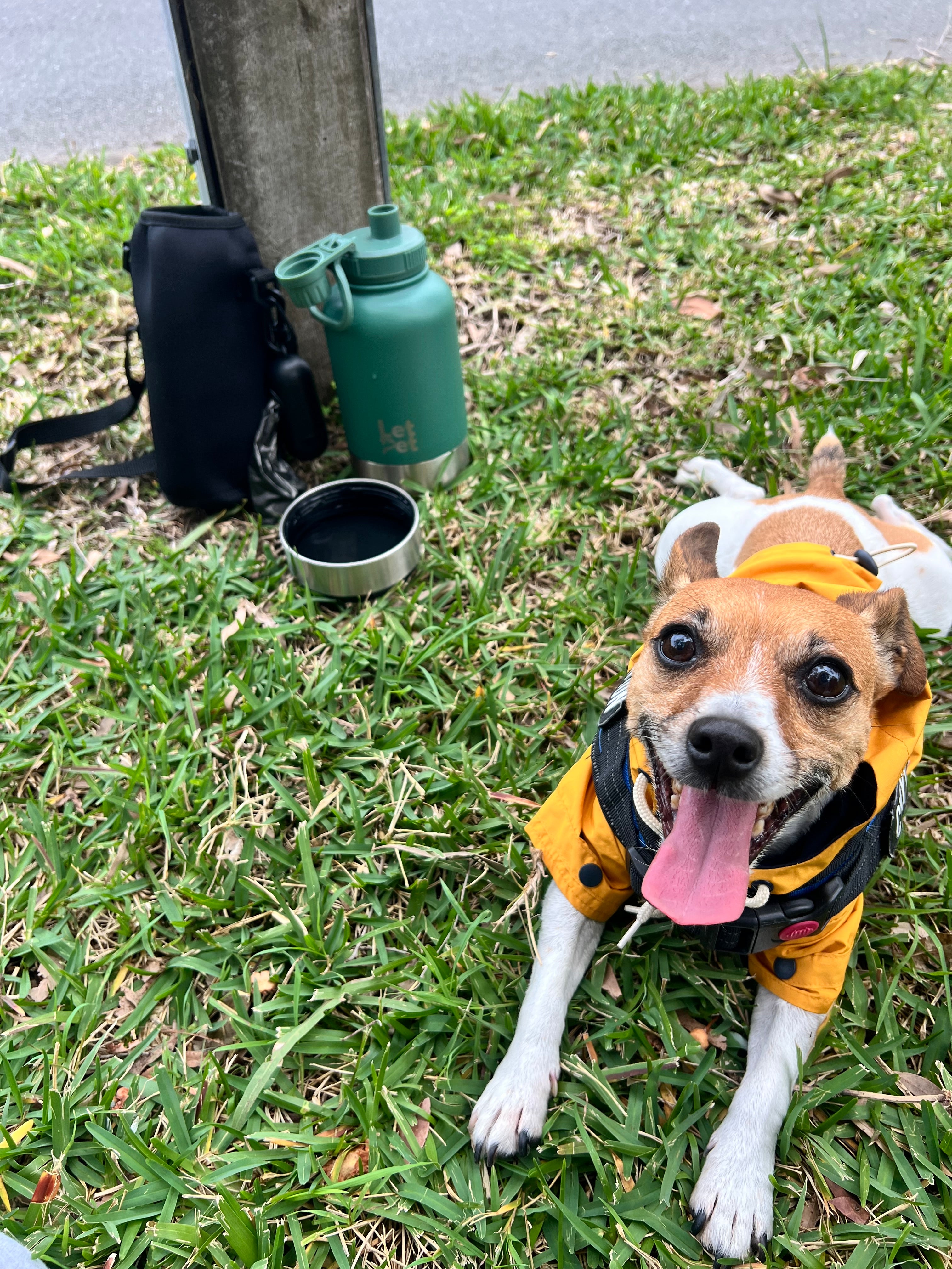 All-in-One Dog Walking Kit | Bottle + Sleeve + Bag Dispenser