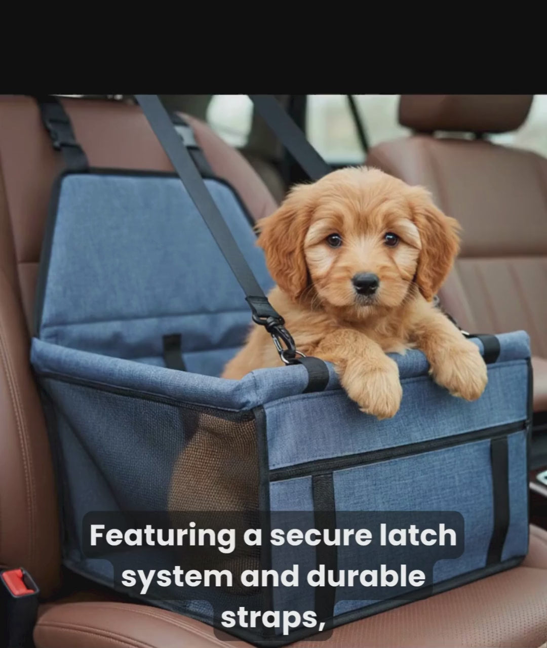 High-Quality Dog Car Booster Seat - Your Dog Secure & Your Car Spotless